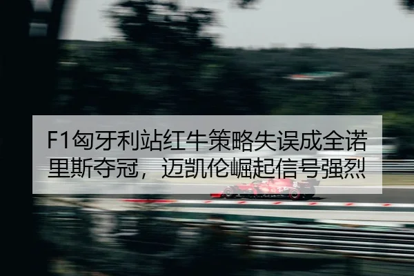 xiong-ya-li-zhan-hong-niu-ce-lve-shi-wu-cheng-quan-nuo-li-si-duo-guan-mai-kai-lun-jue-qi-xin-hao-qiang-lie-2-663.jpg